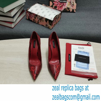 Dolce  &  Gabbana Heel 10.5cm Leather Pumps Snake Print Red with DG Pop Heel 2021